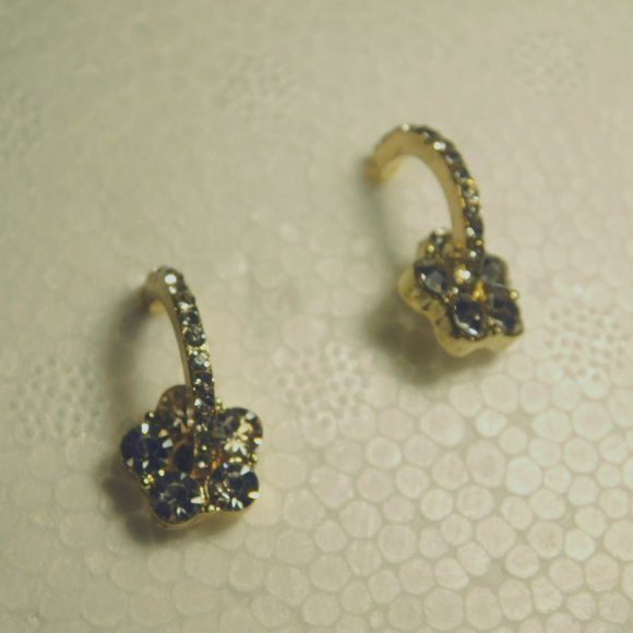 PIERCED EARRINGS - Picture 1 of 6